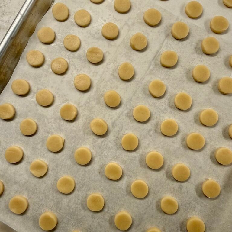 Tiny iced gem biscuits cut and prepared on a baking tray